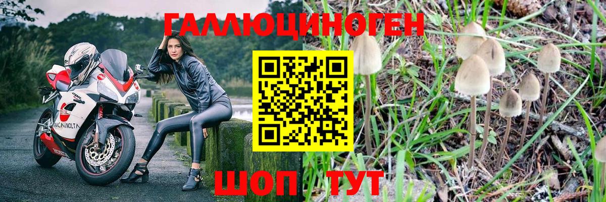 Псилоцибиновые грибы MAGIC MUSHROOMS  Псилоцибиновые грибы GOLDEN TEACHER  Усинск  закладка  Вход с VPN 